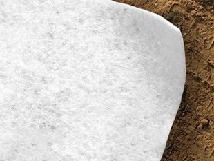 Coir Geotextile